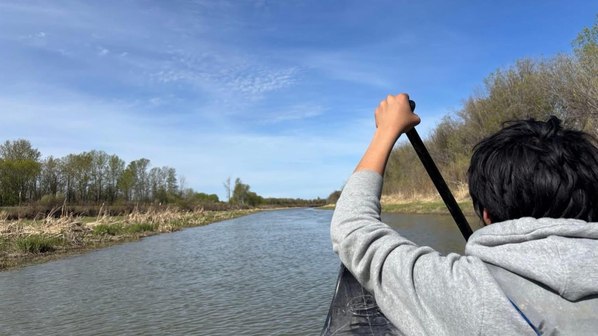 A person in a gray hoodie paddling in a calm river under a blue sky.
