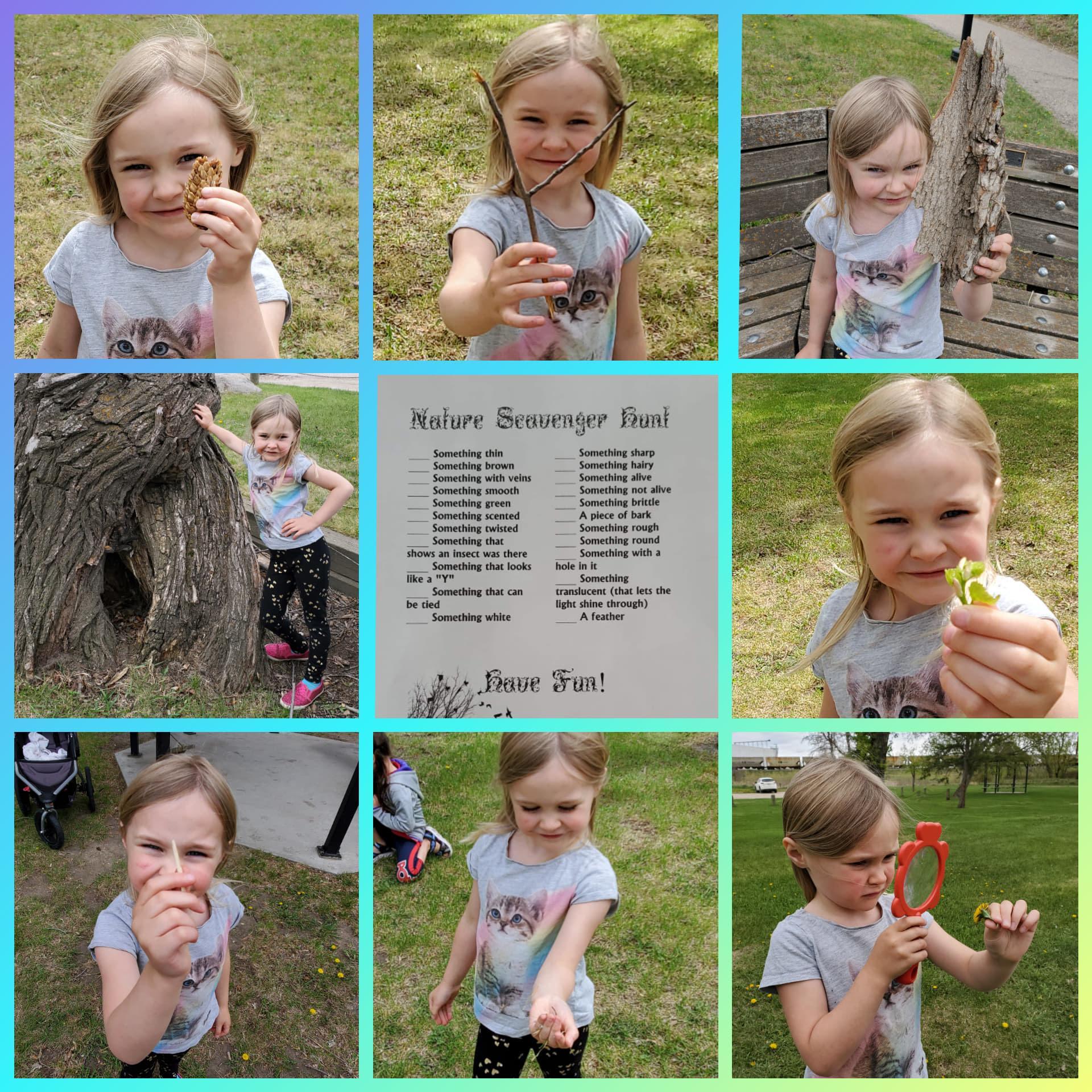 Apply to trinity college dublin image