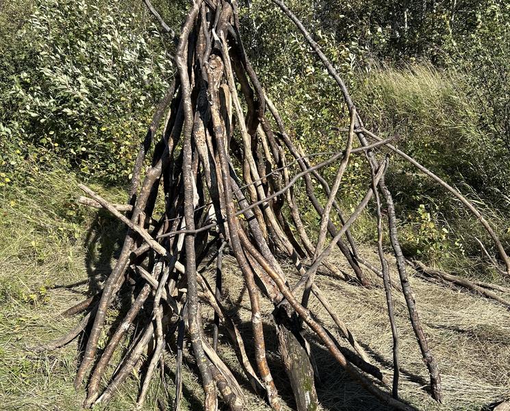 Mini tipi