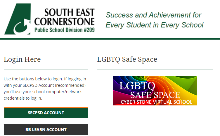Cyberstone Virtual School
