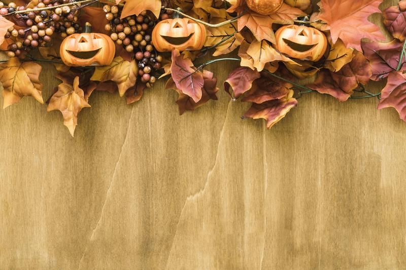 September 26th 2025 Featured Photo