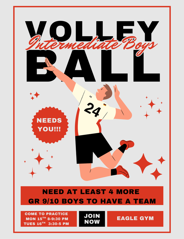 Intermediate Boys Volleyball needs you!!!!