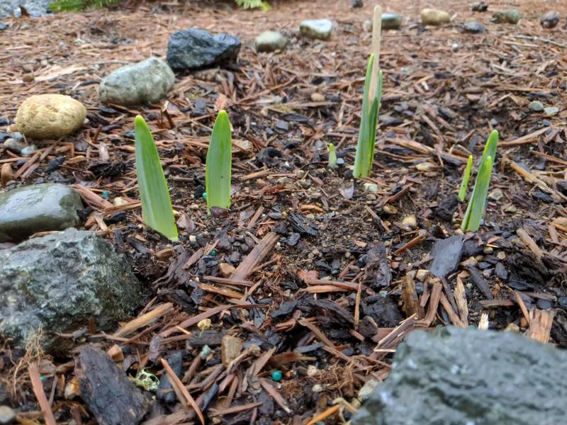 Weekly News February 3 - 6 Featured Photo