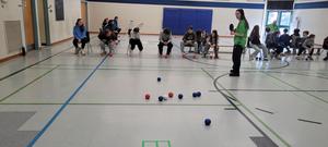 Boccia Ball
