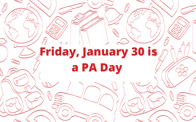 Professional Activity Day