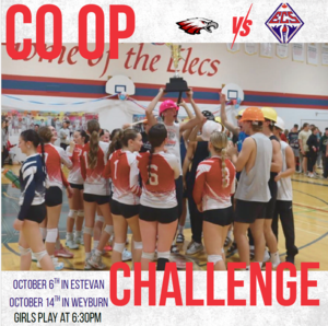 coop challenge