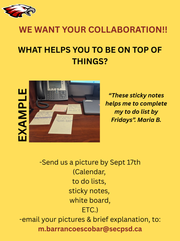 Picture of example or organization and information