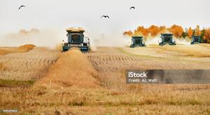 harvest