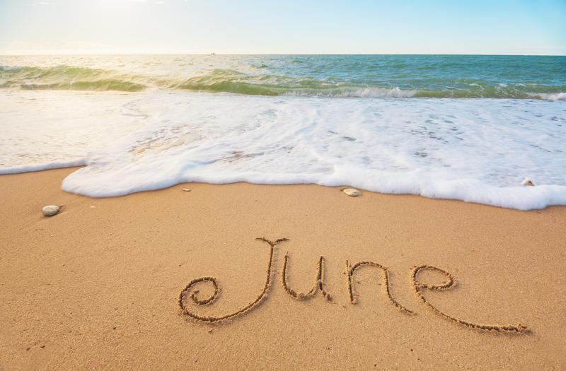 May 29th 2026 Featured Photo