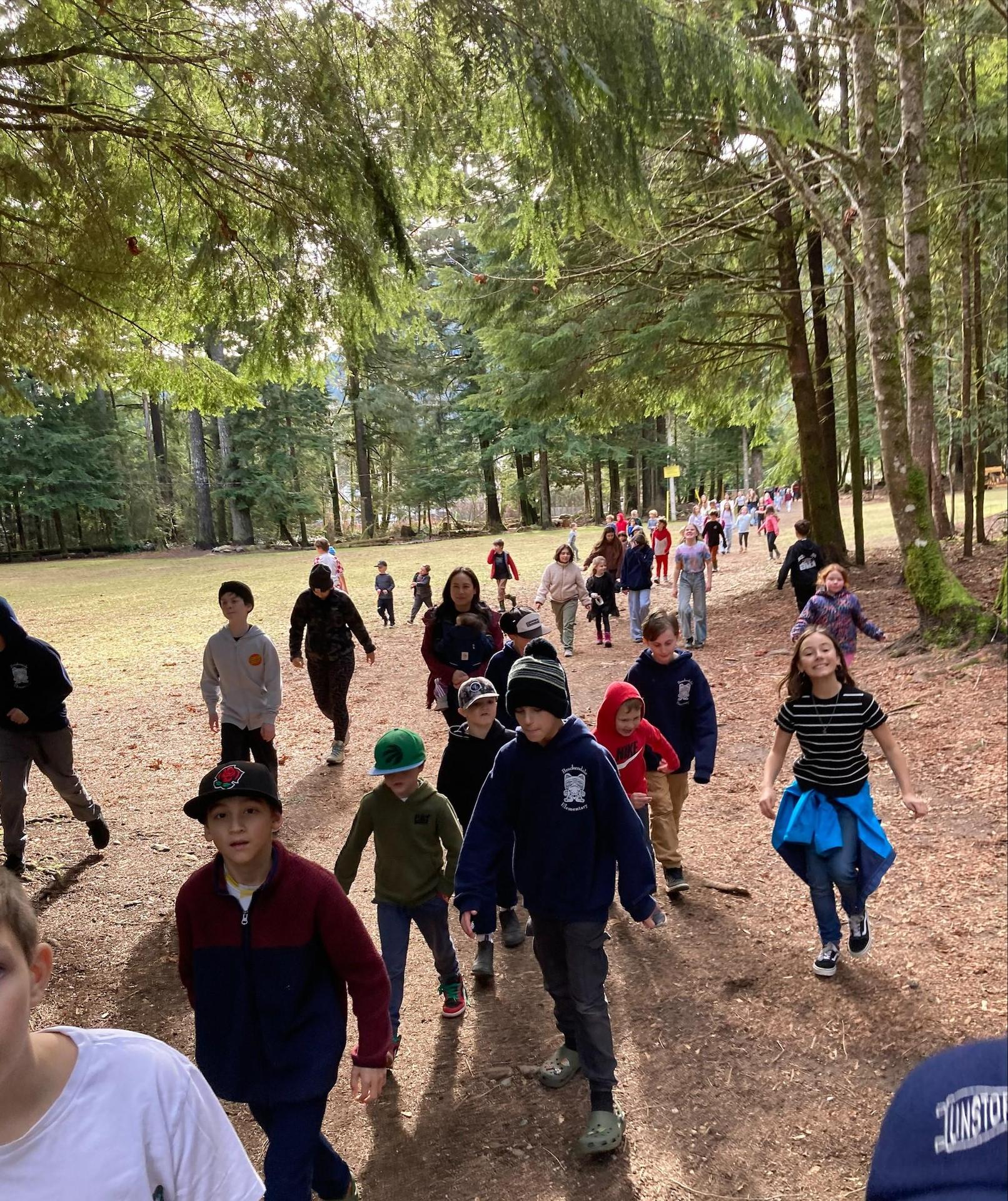 In the forest