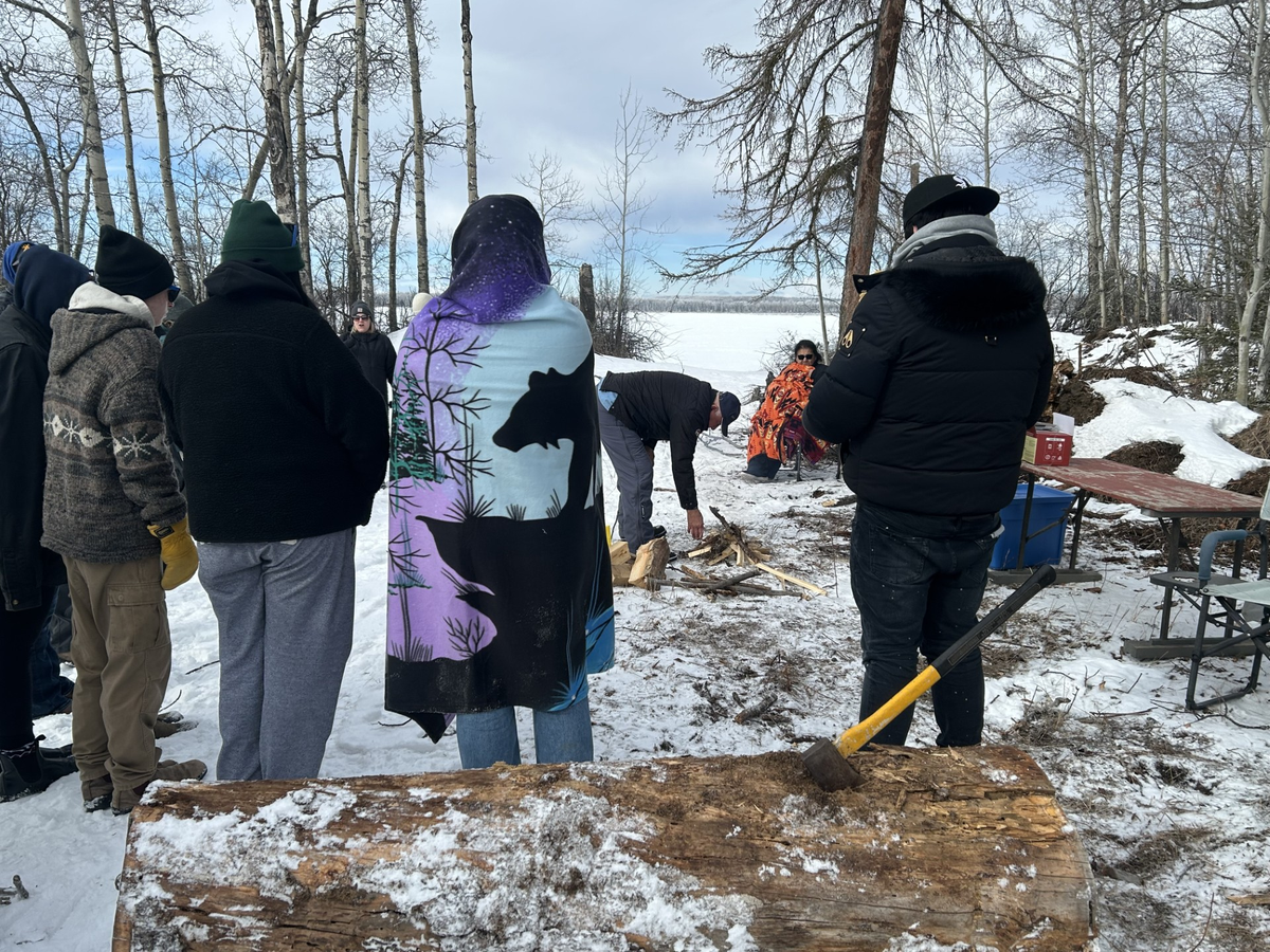 Forestry Day