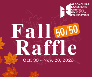 50/50 graphic