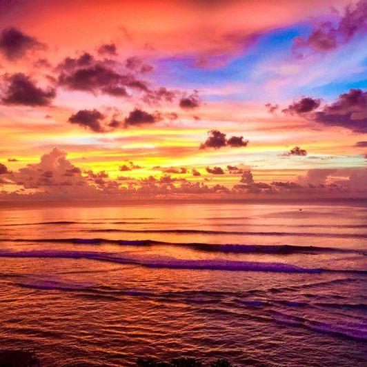 DanielleSalvas's Profile Photo