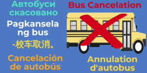 school-bus_57818851 (1).png