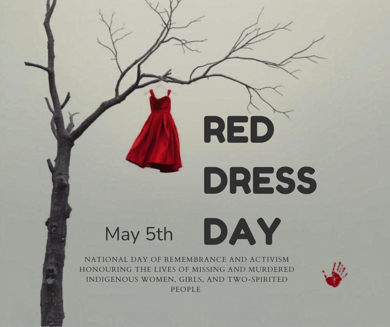 red dress dsy
