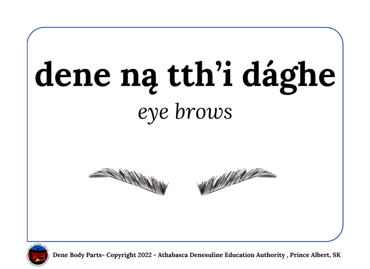 Body Parts Language Athabasca Denesuline Education Authority