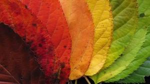 couleurs